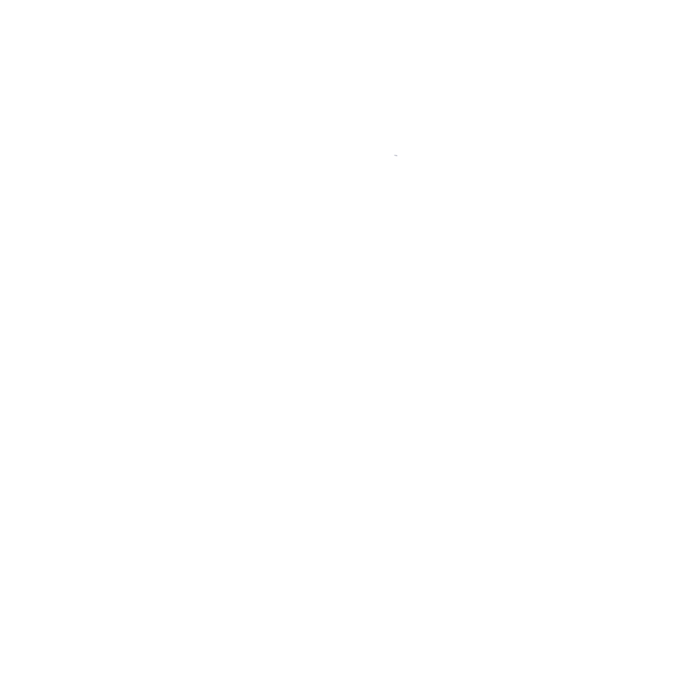 Senior Vita Logo